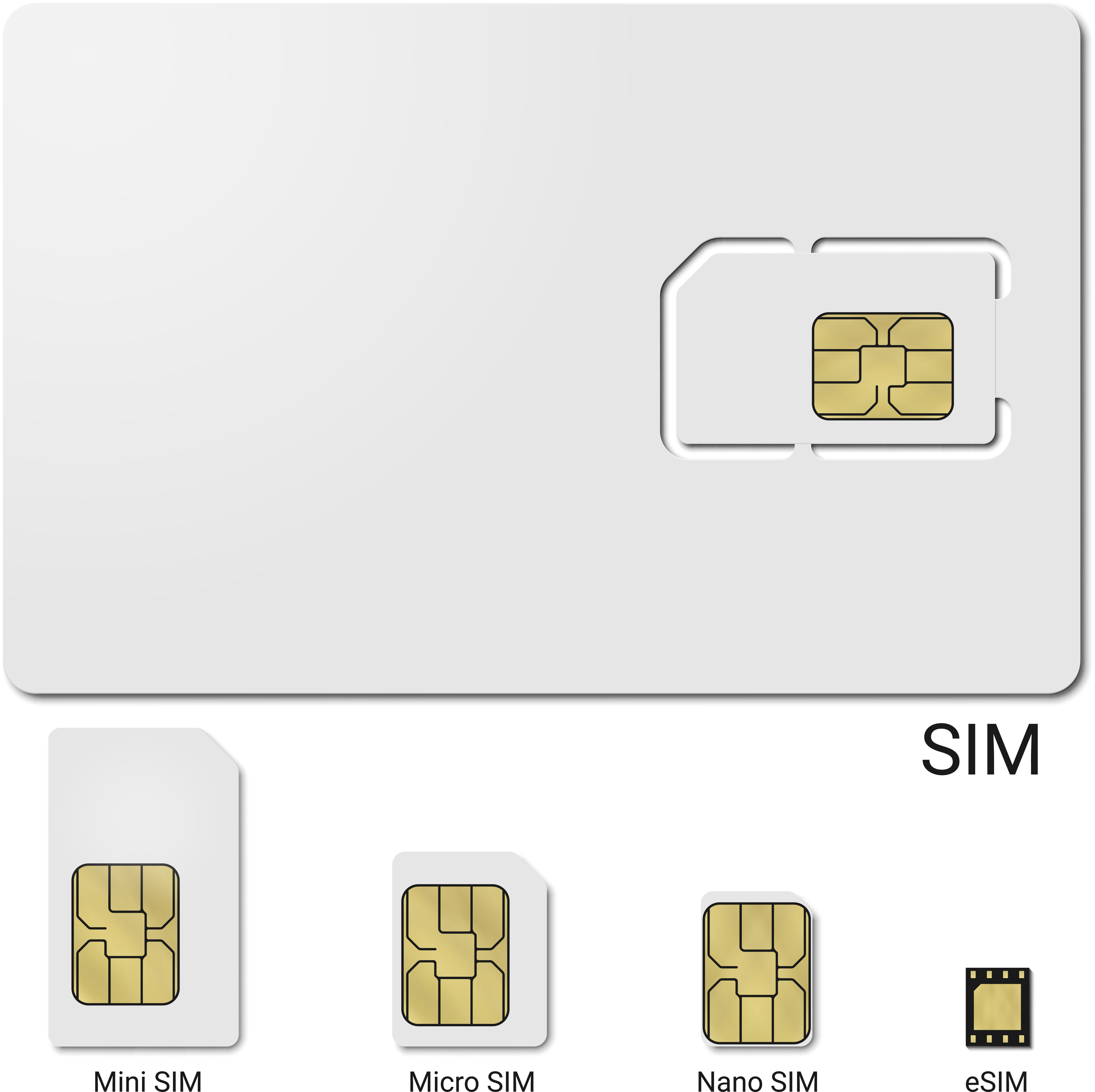 SIMカードの種類の図