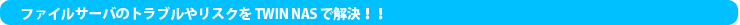 ファイルサーバのトラブルやリスクを TWIN NAS で解決！！