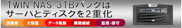 TWIN NAS 3TBパックはサーバとディスクを2重化