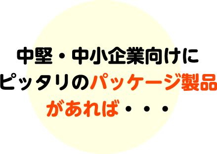 中堅・中小企業向けにピッタリのパッケージ製品があれば・・・