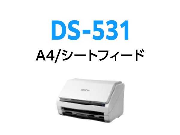 DS-531