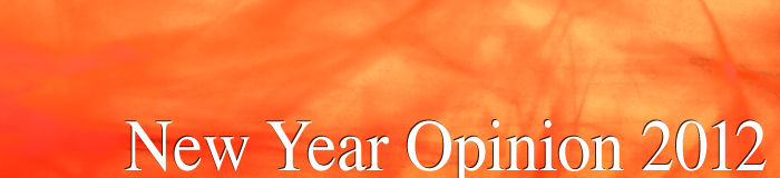New Year Opinion 2012